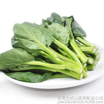 佳乐东莞市蔬菜配送东莞虎门镇农产品配送虎门送菜公司图片_高清图_细节图