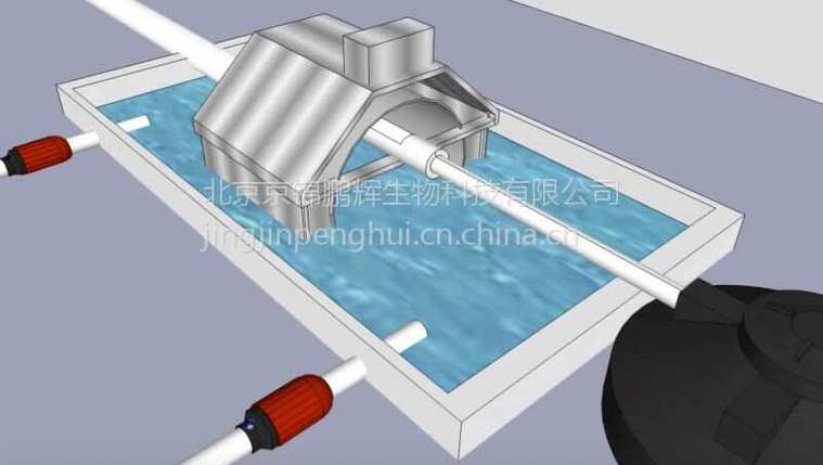 绿色革命 新型温室大棚鱼菜共生工厂化循环系统的未来之路
