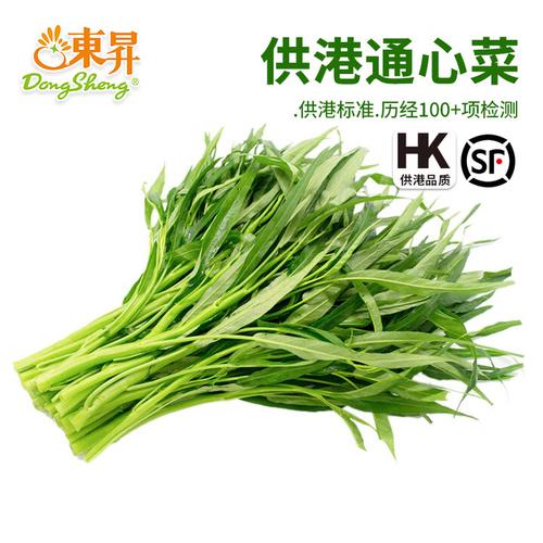 东升供港空心菜 新鲜从田间到餐桌，打造绿色健康餐桌新风尚